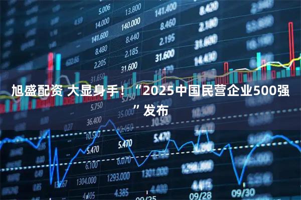 旭盛配资 大显身手！“2025中国民营企业500强”发布